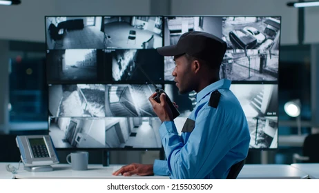 Professional CCTV monitoring services
