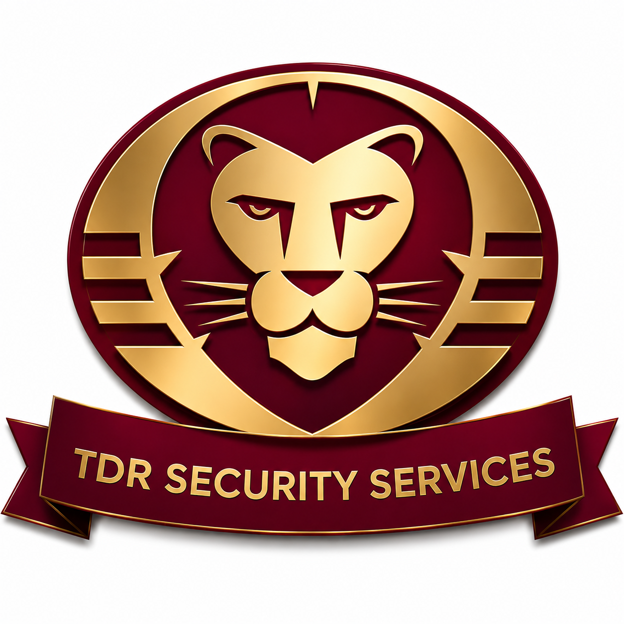 TDR Security Services Logo